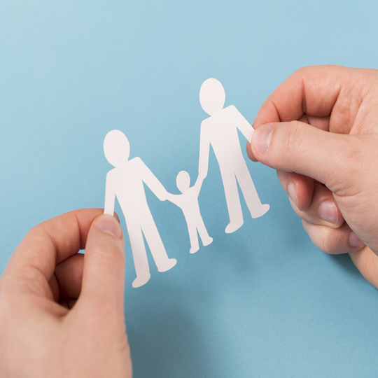 Representative picture of the project